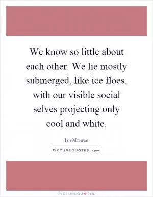 We know so little about each other. We lie mostly submerged, like ice floes, with our visible social selves projecting only cool and white Picture Quote #1