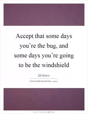 Accept that some days you’re the bug, and some days you’re going to be the windshield Picture Quote #1