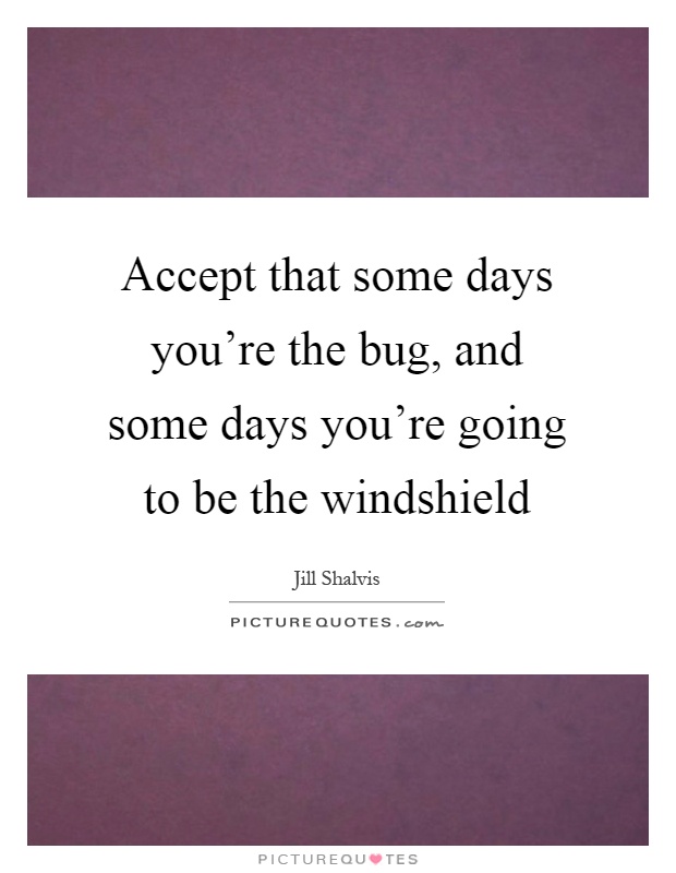 Accept that some days you're the bug, and some days you're going to be the windshield Picture Quote #1