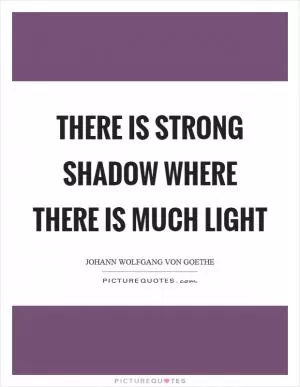 There is strong shadow where there is much light Picture Quote #1