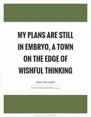My plans are still in embryo, a town on the edge of wishful thinking Picture Quote #1