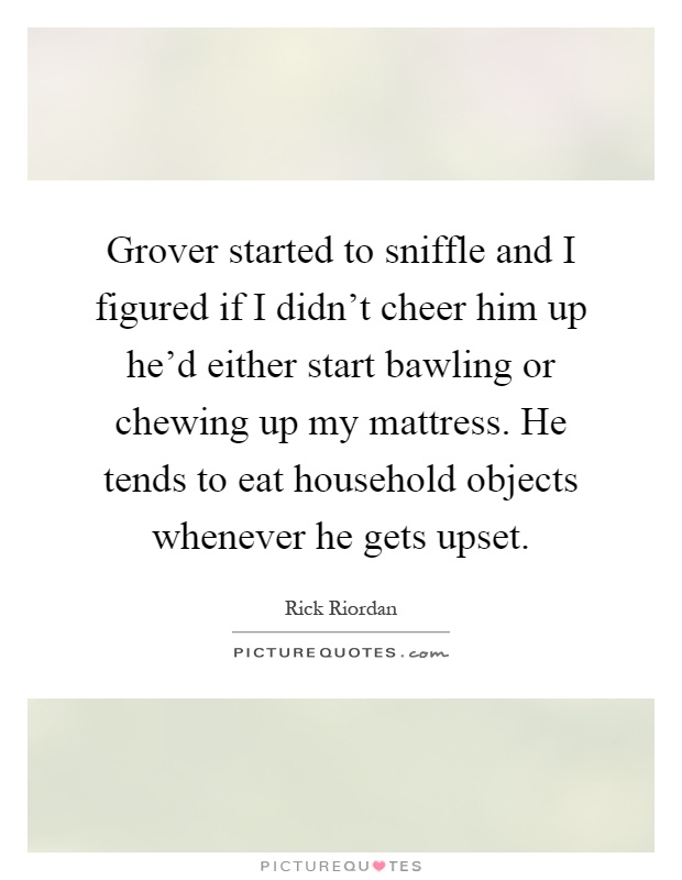 Grover started to sniffle and I figured if I didn't cheer him up he'd either start bawling or chewing up my mattress. He tends to eat household objects whenever he gets upset Picture Quote #1