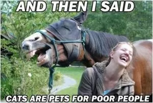And then I said cats are pets for poor people Picture Quote #1