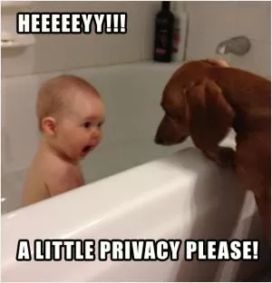 Heeeeeyy!!! A little privacy please! Picture Quote #1