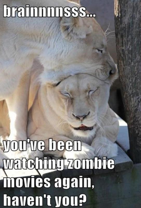 Brainnnnsss... You’ve been watching zombie movies again, haven’t you Picture Quote #1
