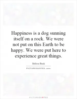 Happiness is a dog sunning itself on a rock. We were not put on this Earth to be happy. We were put here to experience great things Picture Quote #1