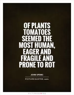 Of plants tomatoes seemed the most human, eager and fragile and prone to rot Picture Quote #1