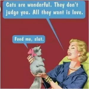 Cats are wonderful. They don't judge you. All they want is love. Feed my, slut Picture Quote #1