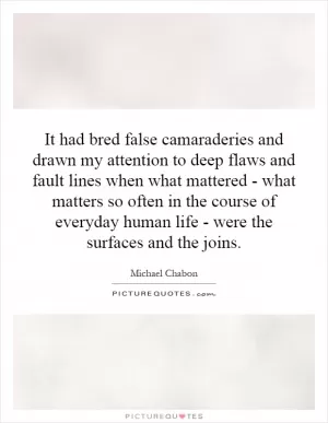 It had bred false camaraderies and drawn my attention to deep flaws and fault lines when what mattered - what matters so often in the course of everyday human life - were the surfaces and the joins Picture Quote #1