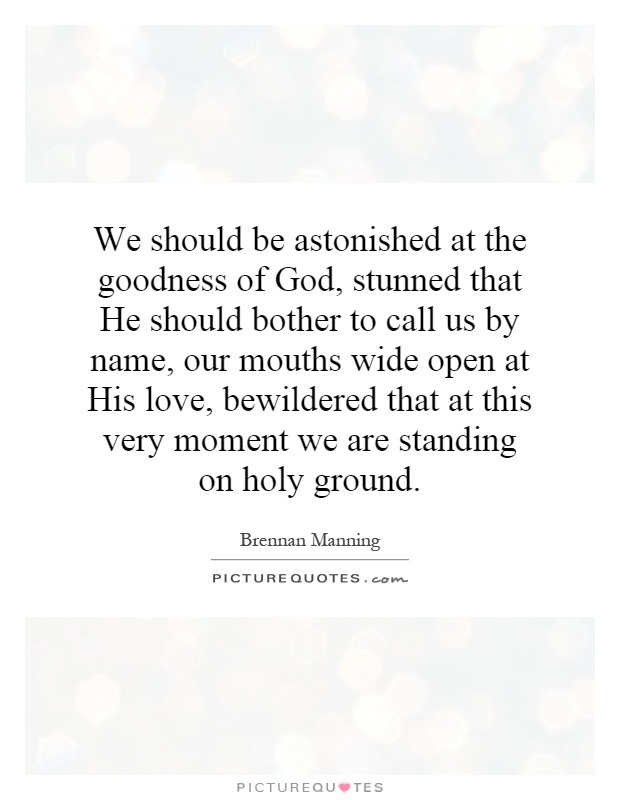 We should be astonished at the goodness of God, stunned that He should bother to call us by name, our mouths wide open at His love, bewildered that at this very moment we are standing on holy ground Picture Quote #1