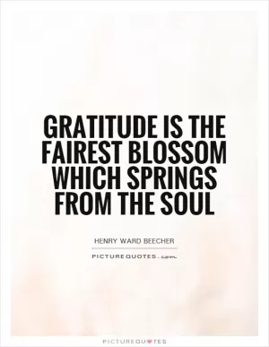 Gratitude is the fairest blossom which springs from the soul Picture Quote #1