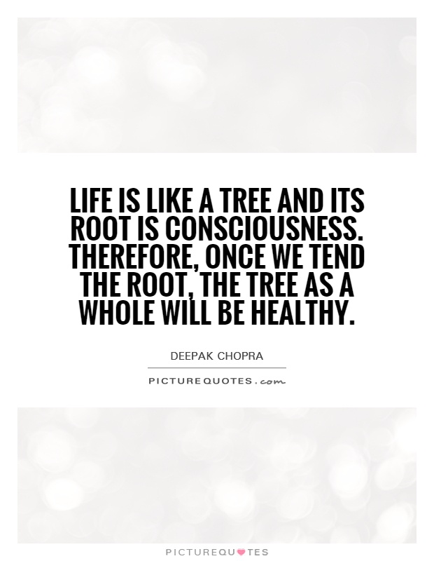 Life is like a tree and its root is consciousness. Therefore, once we tend the root, the tree as a whole will be healthy Picture Quote #1