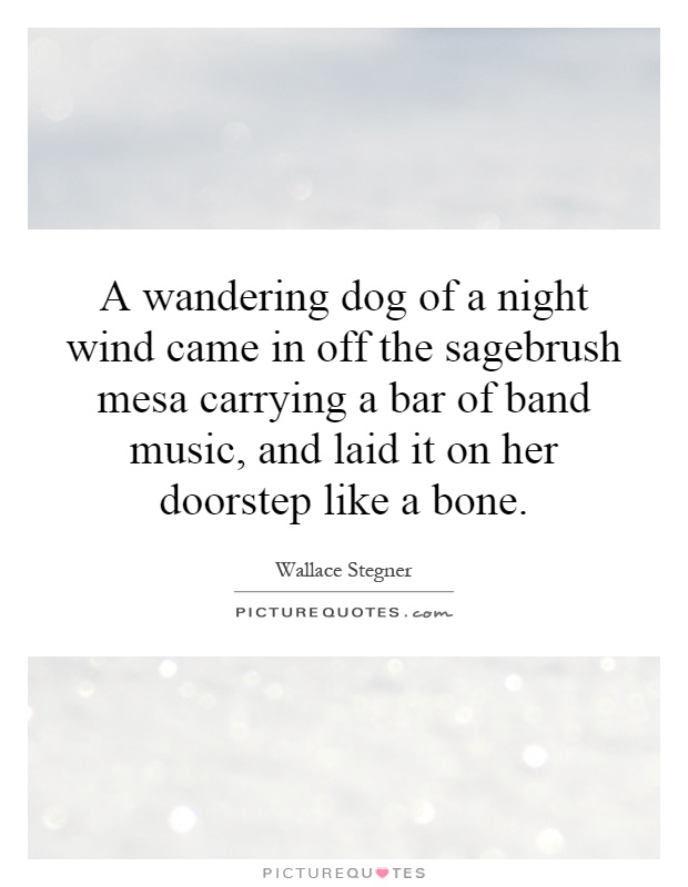 A wandering dog of a night wind came in off the sagebrush mesa carrying a bar of band music, and laid it on her doorstep like a bone Picture Quote #1