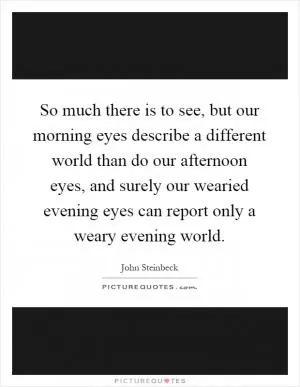 So much there is to see, but our morning eyes describe a different world than do our afternoon eyes, and surely our wearied evening eyes can report only a weary evening world Picture Quote #1