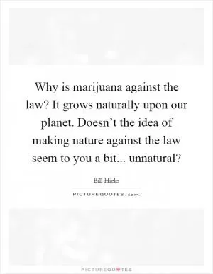 Why is marijuana against the law? It grows naturally upon our planet. Doesn’t the idea of making nature against the law seem to you a bit... unnatural? Picture Quote #1