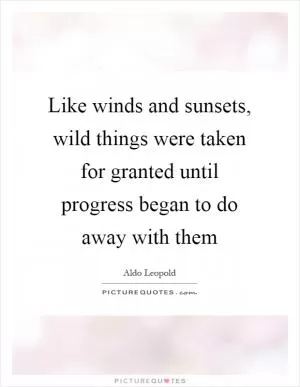 Like winds and sunsets, wild things were taken for granted until progress began to do away with them Picture Quote #1