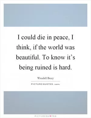 I could die in peace, I think, if the world was beautiful. To know it’s being ruined is hard Picture Quote #1