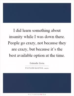 I did learn something about insanity while I was down there. People go crazy, not because they are crazy, but because it’s the best available option at the time Picture Quote #1