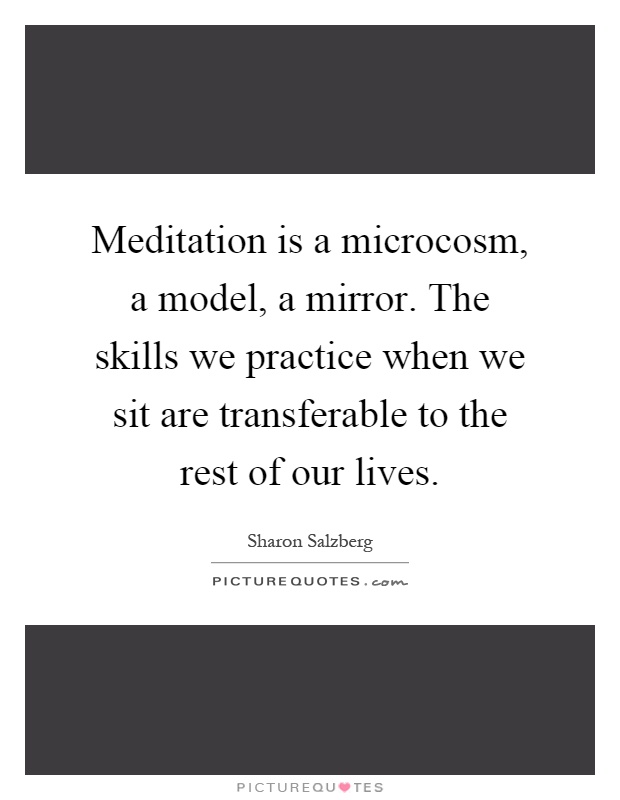 Meditation is a microcosm, a model, a mirror. The skills we practice when we sit are transferable to the rest of our lives Picture Quote #1