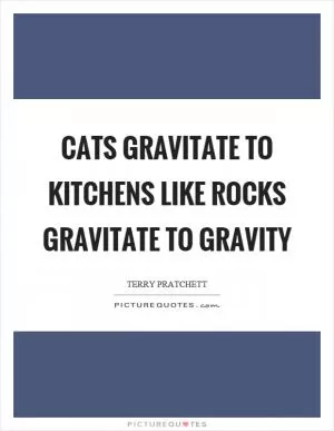 Cats gravitate to kitchens like rocks gravitate to gravity Picture Quote #1