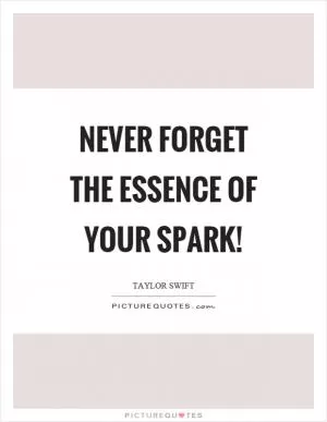 Never forget the essence of your spark! Picture Quote #1