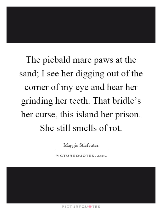 The piebald mare paws at the sand; I see her digging out of the corner of my eye and hear her grinding her teeth. That bridle's her curse, this island her prison. She still smells of rot Picture Quote #1