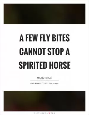 A few fly bites cannot stop a spirited horse Picture Quote #1