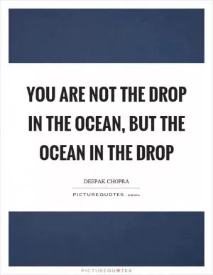 You are not the drop in the ocean, but the ocean in the drop Picture Quote #1