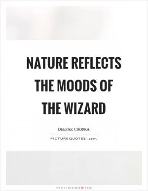 Nature reflects the moods of the wizard Picture Quote #1