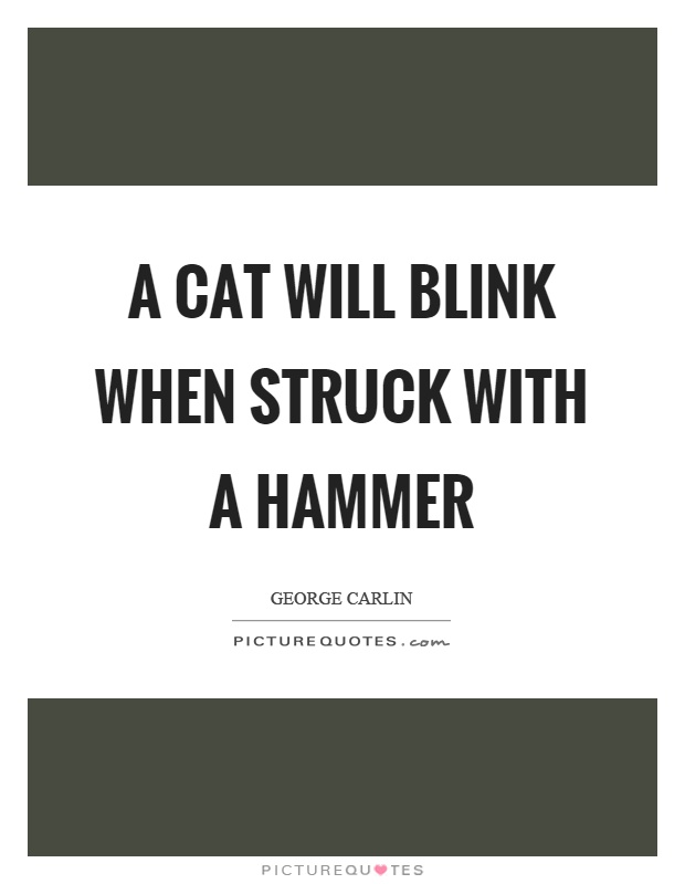A cat will blink when struck with a hammer Picture Quote #1