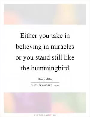 Either you take in believing in miracles or you stand still like the hummingbird Picture Quote #1