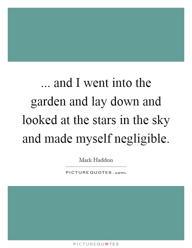 ... and I went into the garden and lay down and looked at the stars in the sky and made myself negligible Picture Quote #1