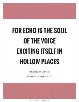 For echo is the soul of the voice exciting itself in hollow places Picture Quote #1