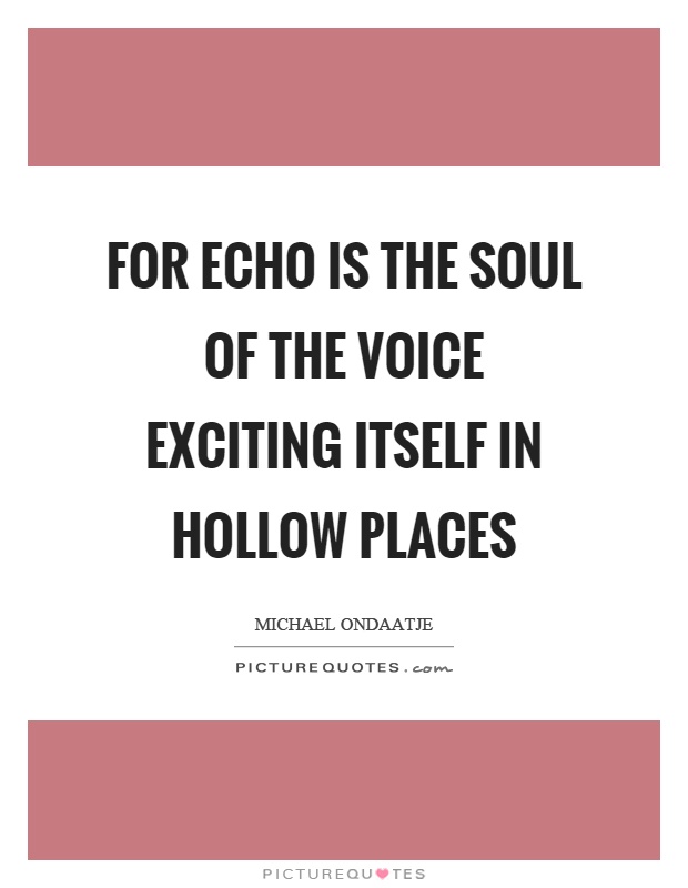For echo is the soul of the voice exciting itself in hollow places Picture Quote #1