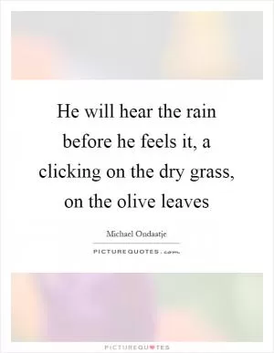 He will hear the rain before he feels it, a clicking on the dry grass, on the olive leaves Picture Quote #1