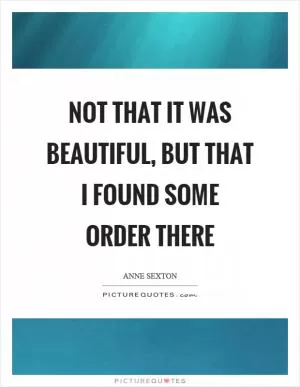 Not that it was beautiful, but that I found some order there Picture Quote #1