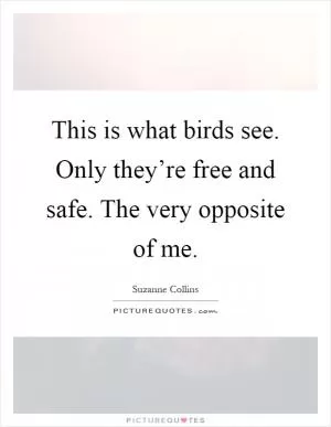 This is what birds see. Only they’re free and safe. The very opposite of me Picture Quote #1