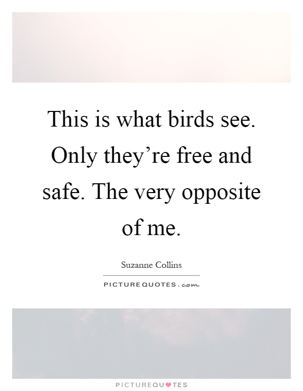 This is what birds see. Only they're free and safe. The very opposite of me Picture Quote #1