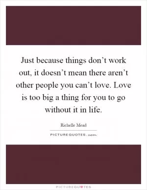 Just because things don’t work out, it doesn’t mean there aren’t other people you can’t love. Love is too big a thing for you to go without it in life Picture Quote #1