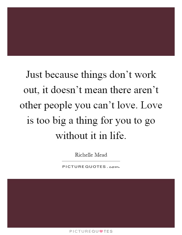 Just because things don't work out, it doesn't mean there aren't other people you can't love. Love is too big a thing for you to go without it in life Picture Quote #1