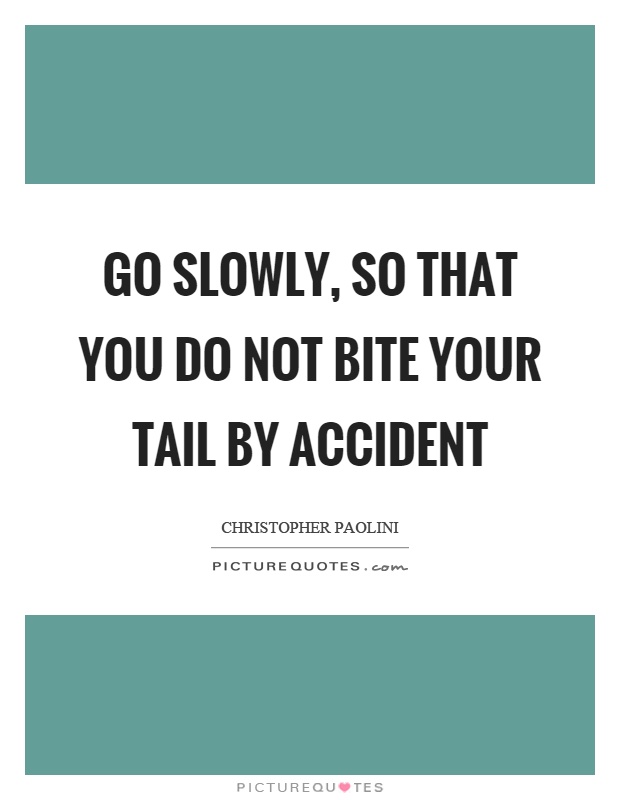 Go slowly, so that you do not bite your tail by accident Picture Quote #1