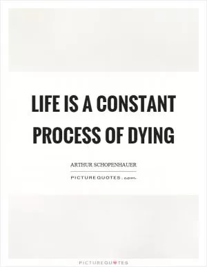 Life is a constant process of dying Picture Quote #1