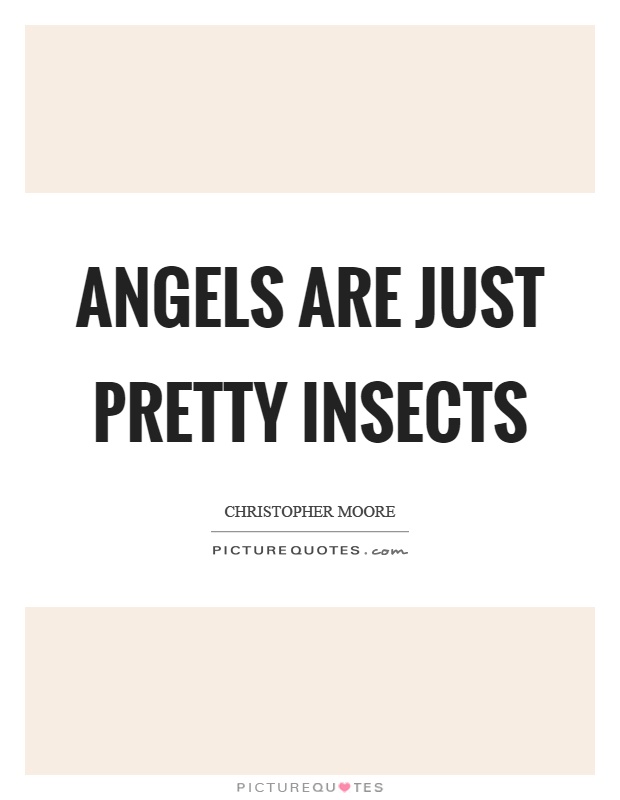 Angels are just pretty insects Picture Quote #1