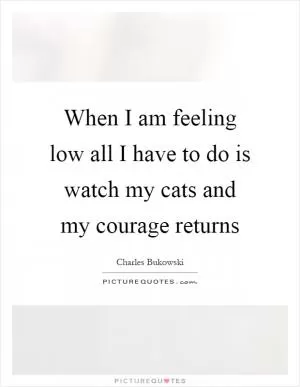 When I am feeling low all I have to do is watch my cats and my courage returns Picture Quote #1