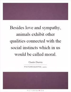 Besides love and sympathy, animals exhibit other qualities connected with the social instincts which in us would be called moral Picture Quote #1
