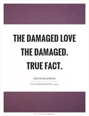 The damaged love the damaged. True fact Picture Quote #1