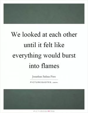 We looked at each other until it felt like everything would burst into flames Picture Quote #1