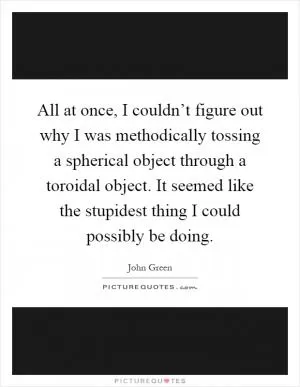 All at once, I couldn’t figure out why I was methodically tossing a spherical object through a toroidal object. It seemed like the stupidest thing I could possibly be doing Picture Quote #1