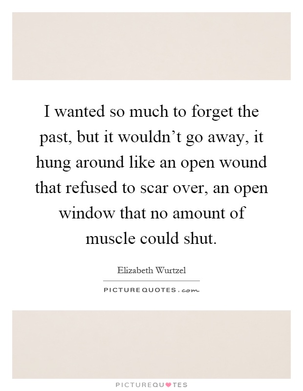 I wanted so much to forget the past, but it wouldn't go away, it hung around like an open wound that refused to scar over, an open window that no amount of muscle could shut Picture Quote #1