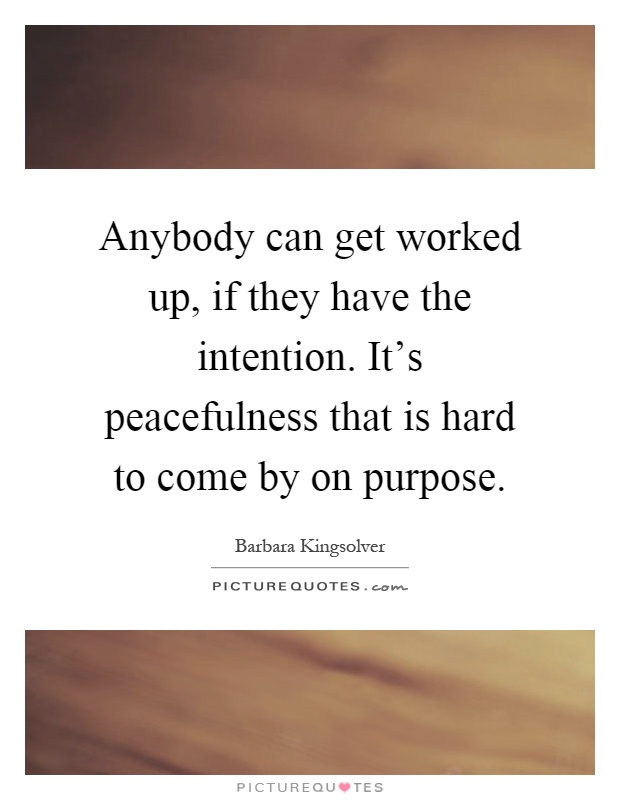 Anybody can get worked up, if they have the intention. It's peacefulness that is hard to come by on purpose Picture Quote #1